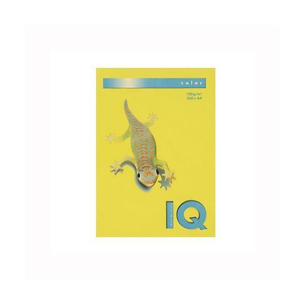 iƖpZbgj ɓ oCIgbvJ[ A4 250 120g^m2 BT729 }X^[h k×2Zbgl s