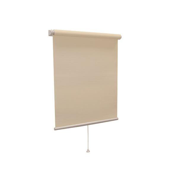 ���_�� ���[���X�N���[�� �k�Ռ�2�� 60cm×135cm �A�C�{���[�l ���{�� �����X�s�[�h�����@�\�t�� �w�e�B�I���I�x ����s��