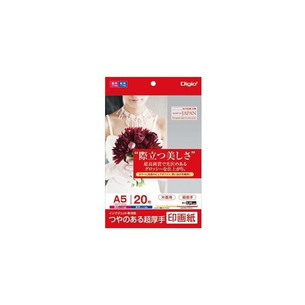 iƖp5Zbgj Digio2 CNWFbgv^p 掆^Cv A5^20 JPSK2-A5-20 s