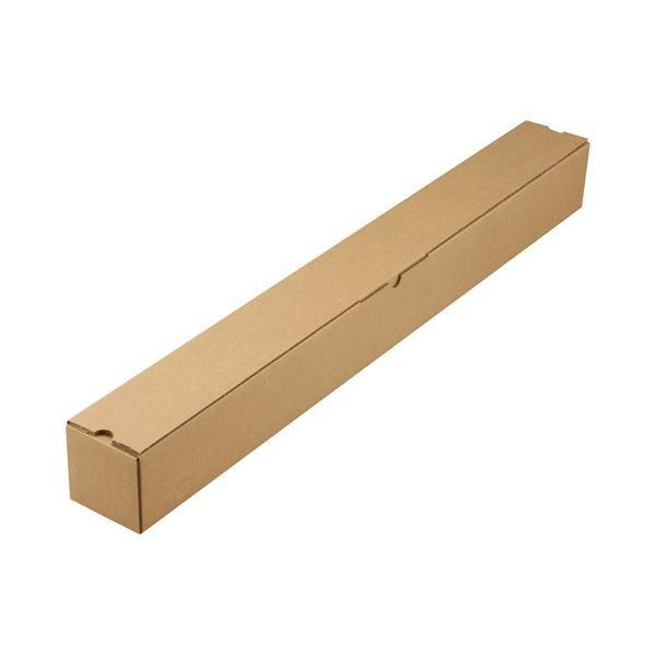 TANOSEE|X^[P[X(_{[) 100TCY 1pbN(50) s