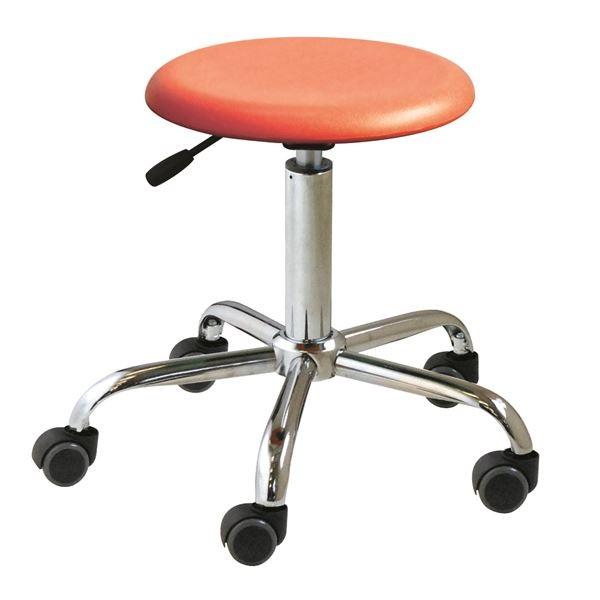 LX^[t ۈ֎q kIW×N[bLl 50cm { X`[ wu`u[Xc[x s