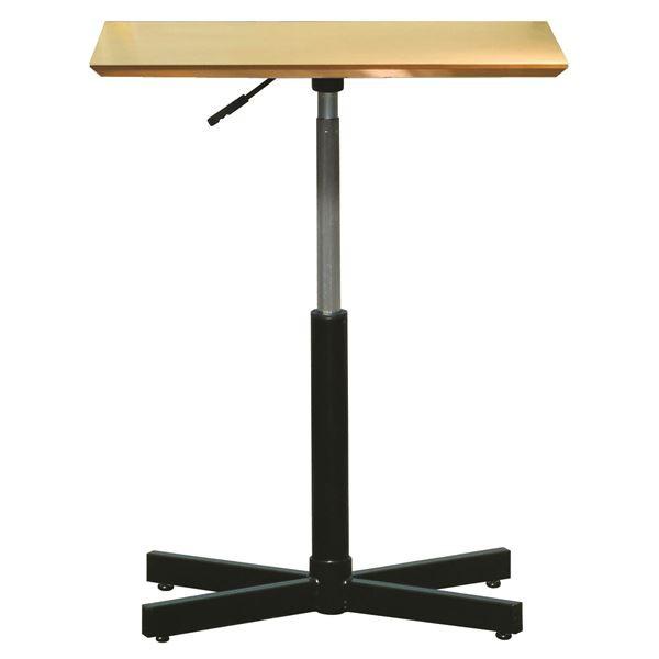 ~TChe[u ki`×ubNl 60cm { ؐ X`[pCv ω׏d30kg wu` wLTe[ux s