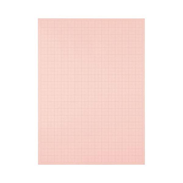 (܂Ƃ) TANOSEE ͑iv^Cvj { 788×1085mm 50mm sN 1P[Xi20j k×10Zbgl s