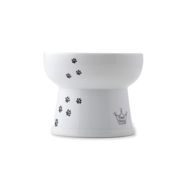 i܂Ƃ߁jnbs[_CjO rtEH[^[{E nC^Cv L VRtiybgpijk×20Zbgl s