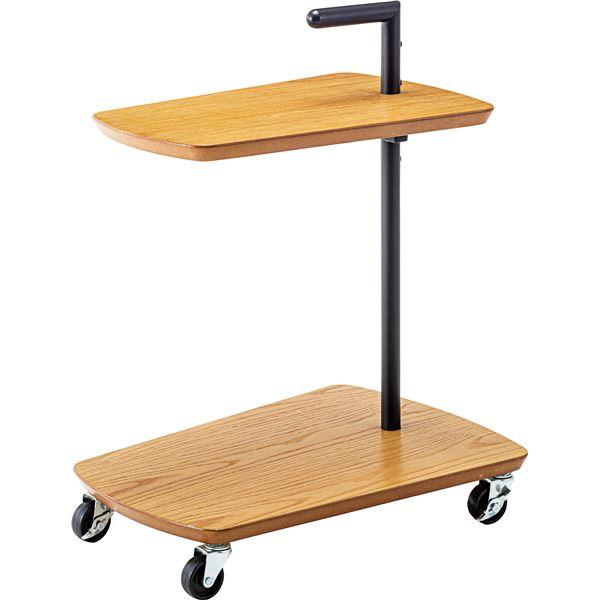 LX^[t ~je[u k52.5cm×s38cm×65cml X`[ wSTChe[ux krOl kgil s