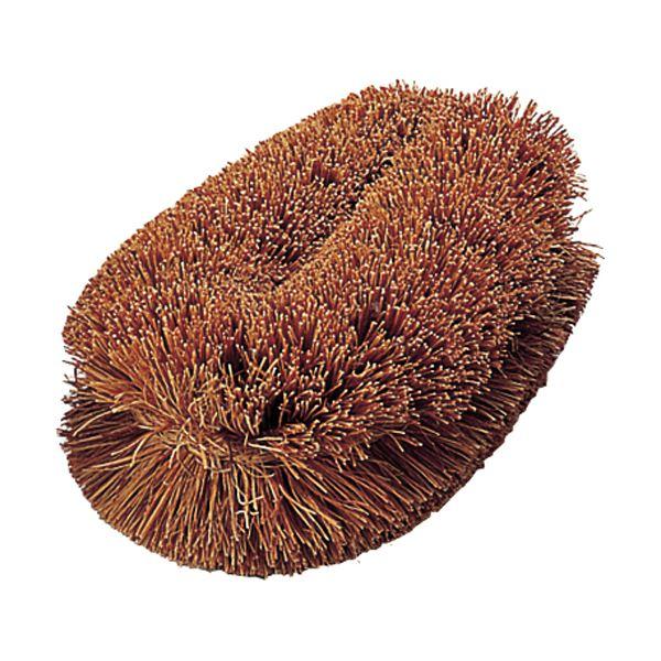 �i�܂Ƃ߁jTRUSCO�i�`�������u���V�u��������N�v 140mm TW-M 1�k×20�Z�b�g�l ����s��