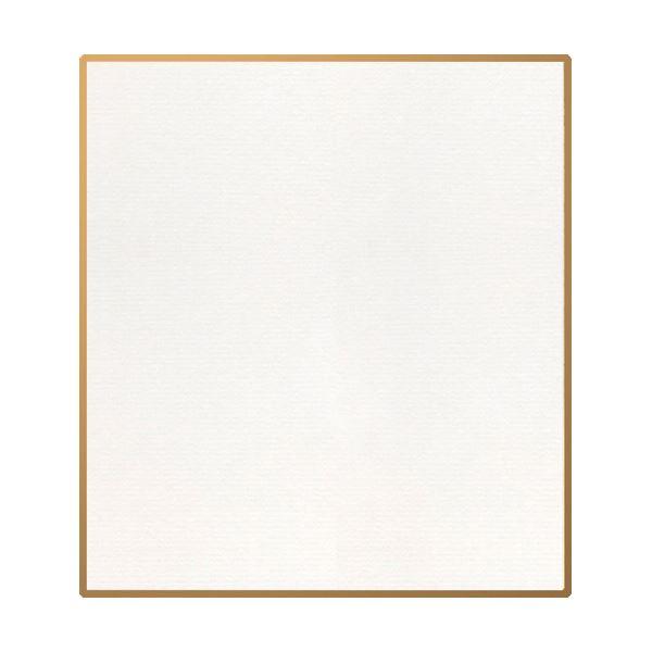 i܂Ƃ߁j剮X F 历 1/4120×135mm V-251 1k×50Zbgl s