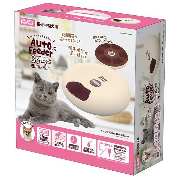 ybgpI[gtB[_[3Daysiybgpij s