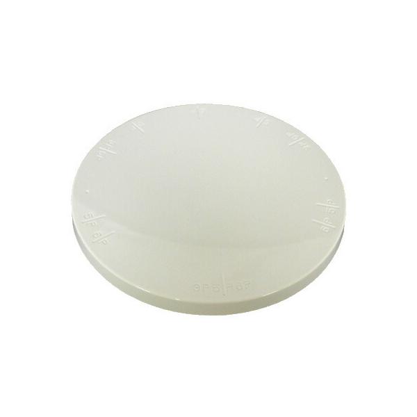 ^CK[NE N[X^h P[Lp ] 24cm ڐt s