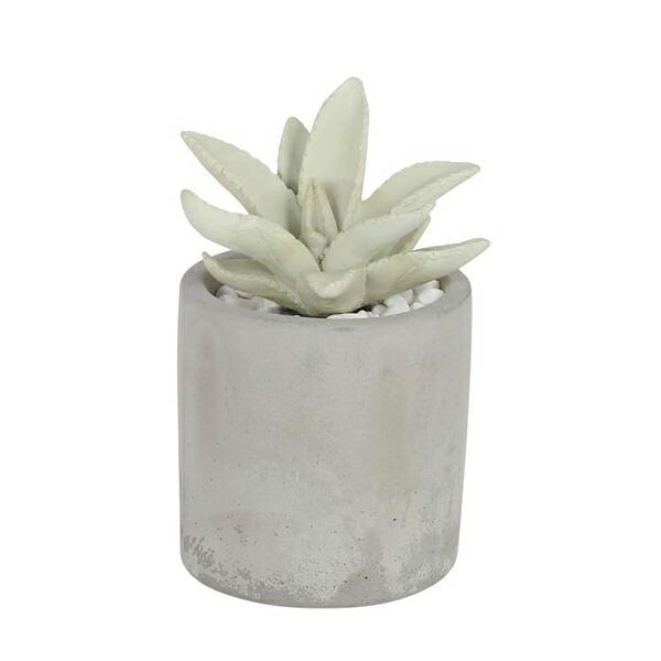 _g DULTON AGtOXfBt[U[ A AG s