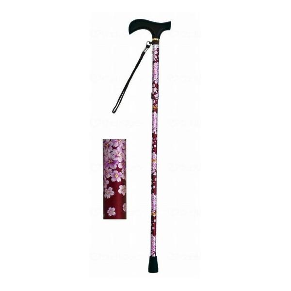 EFt@ CtXebL ܂肽ݐLk^ C