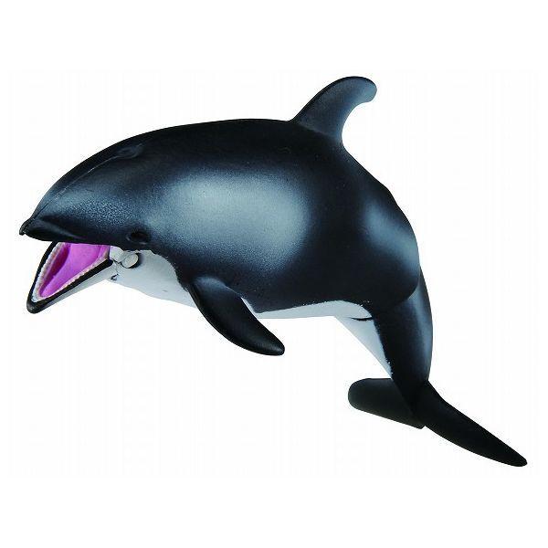 AjA AS-19 J}CJ ɕVer. ^Jg~[ ߋ 