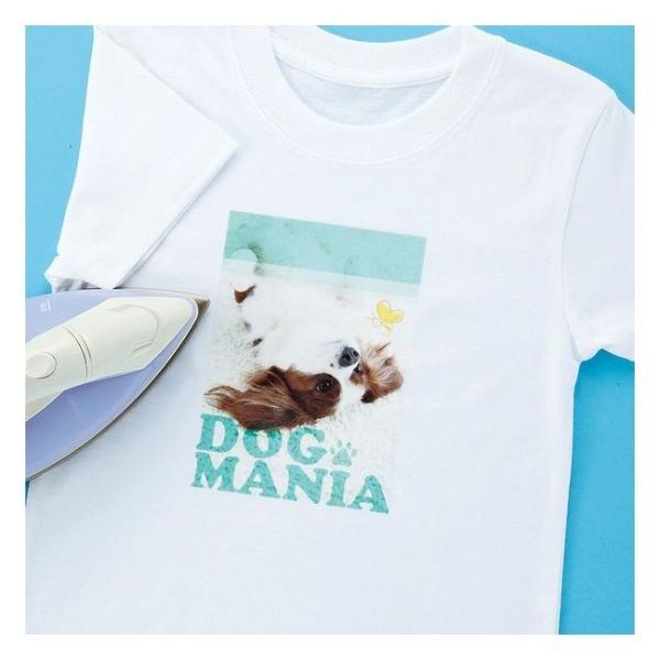 TTvC CNWFbgɋACvg zp JP-TPRTYN s