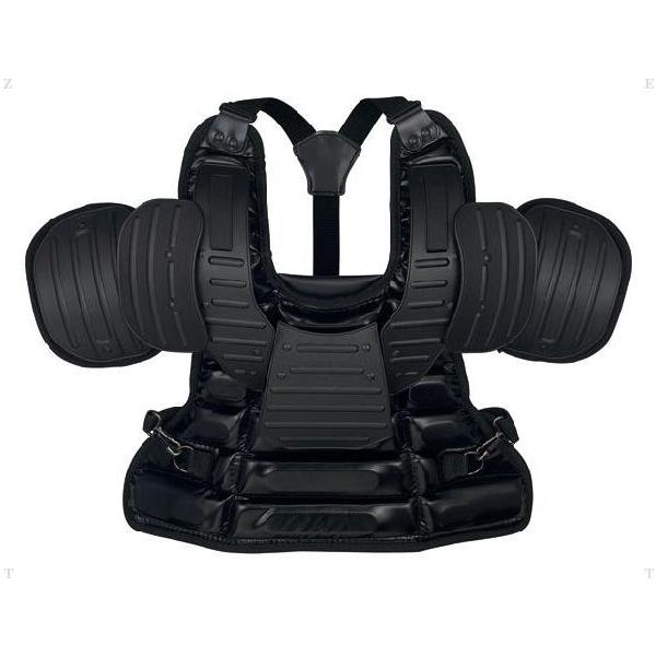 ZETT dpCTChveN^[ BLP2385   ubN 1900