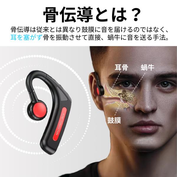 red-import_c-88_2_d_20241211131732