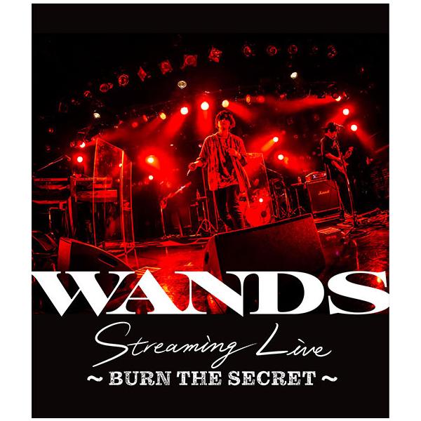 優良配送 Blu-ray WANDS Streaming Live BURN THE SECRET