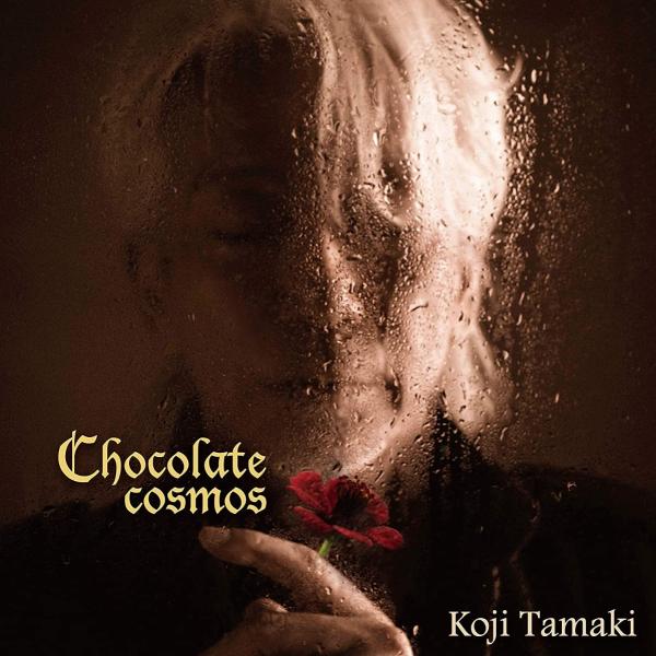 優良配送 CD 玉置浩二 Chocolate cosmos 安全地帯