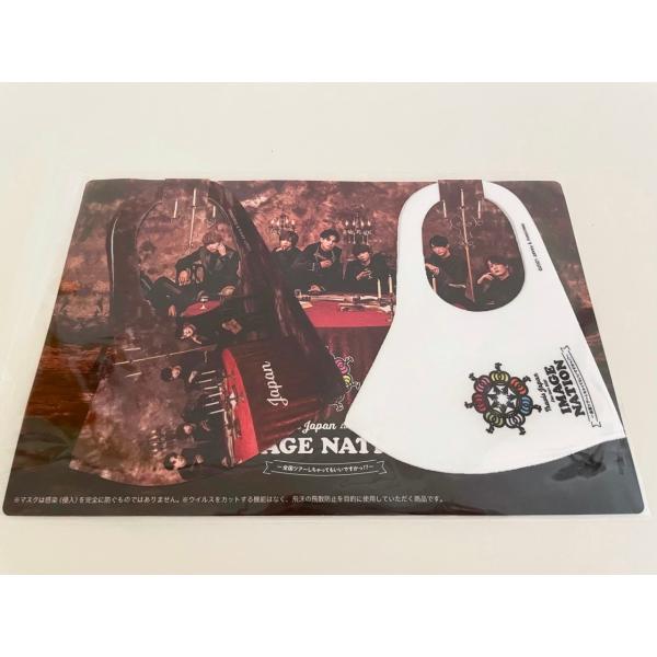 red-monkey_4571512760523