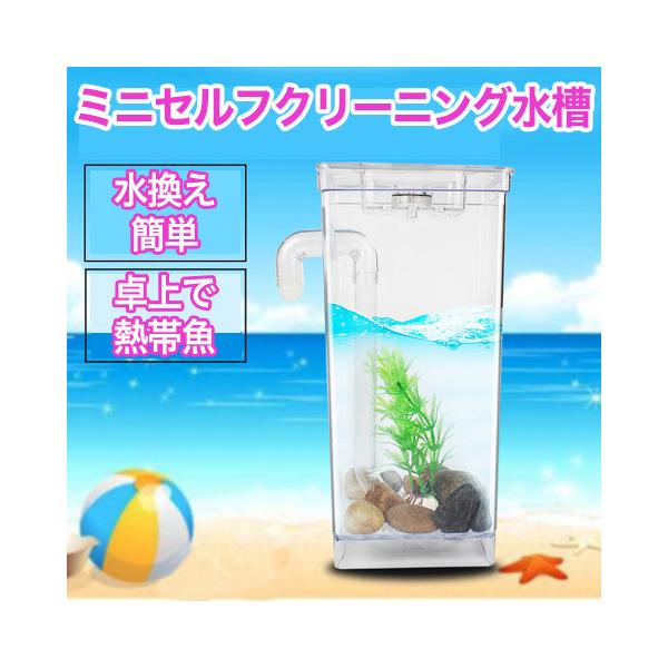 ベタ 飼育 水槽 みんな探してる人気モノ ベタ 飼育 水槽