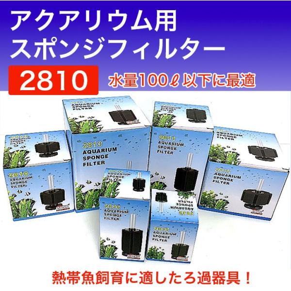 redfairy_sponge2810-1