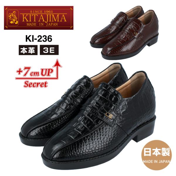 KITAJIMA kCHƏ q[AbvV[Y rWlXV[Y Y 7cmUP 3E v ^ NR X[J {v vC {   KI-236