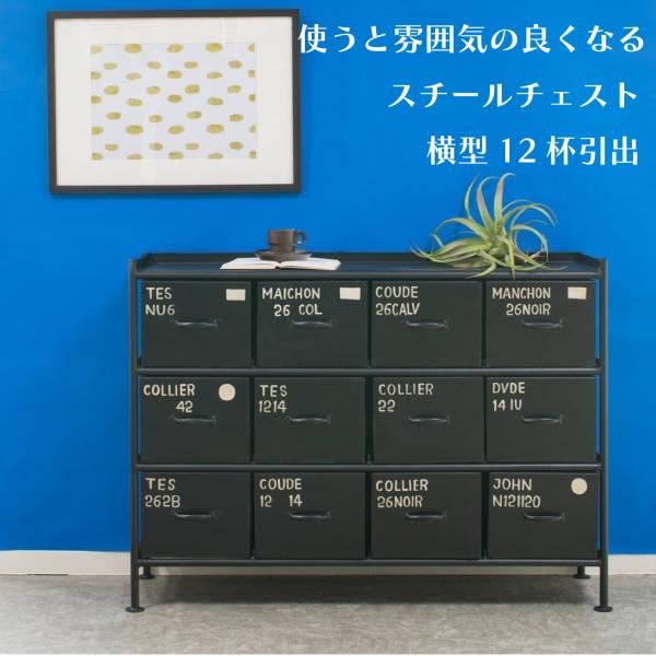 スチールチェスト ienowa 横型12杯引出チェスト MSG BK 黒いチェスト ヴィンテージ調 収納家具 アイアンチェスト ナンバーペイント 送料無料