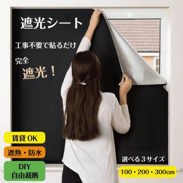 種類2：145×200cm 遮光シート 3サイズ 100 200 300cm 窓 断熱シート UVカット 夏 紫外線遮断 目隠し 日よけ 遮熱 遮