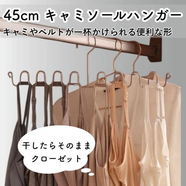 種類1：２本set キャミソール用ハンガー   干してそのままクローゼット  ベルト用ハンガー  最大８枚掛けられるハンガー  スカーフ用ハンガー