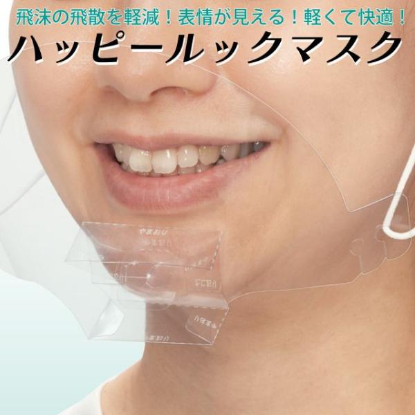 ハッピールックマスク 10枚入 送料込み 日本製 特許出願済 透明マスク クリアタイプ 表情が見える 軽くて快適 飛散対策 感染予防 マスク 軽い
