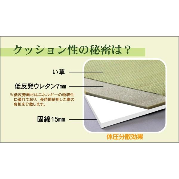 ユニット畳 置き畳 システム畳 い草マット 連結自由 拡張自由 簡単 和室 国産 天然 ひんやり 涼感 夏快適 涼しい 調湿 抗菌 除湿 正方形 cm 4 5畳 9枚 セット Www Fakfakkab Go Id