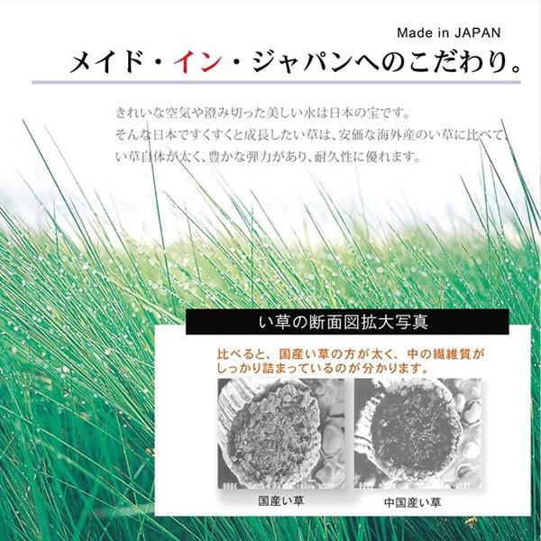 ユニット畳 置き畳 システム畳 い草マット 連結自由 拡張自由 簡単 和室 国産 天然 ひんやり 涼感 夏快適 涼しい 調湿 抗菌 除湿 正方形 cm 4 5畳 9枚 セット Www Fakfakkab Go Id