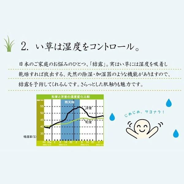 ユニット畳 置き畳 システム畳 い草マット 連結自由 拡張自由 簡単 和室 国産 天然 ひんやり 涼感 夏快適 涼しい 調湿 抗菌 除湿 正方形 cm 4 5畳 9枚 セット Www Fakfakkab Go Id