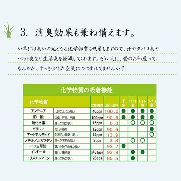 ユニット畳 置き畳 システム畳 い草マット 連結自由 拡張自由 簡単 和室 国産 天然 ひんやり 涼感 夏快適 涼しい 調湿 抗菌 除湿 正方形 cm 4 5畳 9枚 セット Www Fakfakkab Go Id