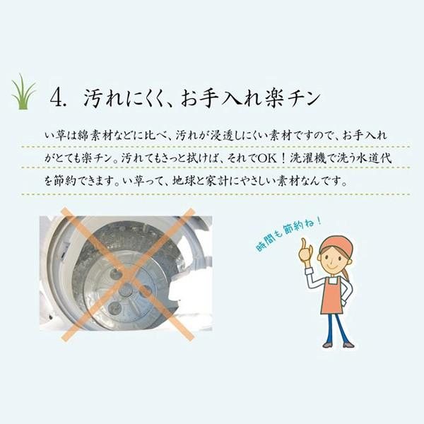 ユニット畳 置き畳 システム畳 い草マット 連結自由 拡張自由 簡単 和室 国産 天然 ひんやり 涼感 夏快適 涼しい 調湿 抗菌 除湿 正方形 cm 4 5畳 9枚 セット Www Fakfakkab Go Id