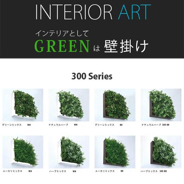 壁掛け グリーン 緑 パネルアート ディスプレイ Green 飾る インテリア 観葉植物 壁 おしゃれ モダン カフェ 300 Series Ita Ish 516 4 6 Reech Online 通販 Yahoo ショッピング