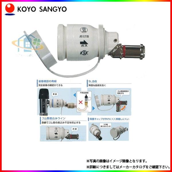 reform-peace_10000399