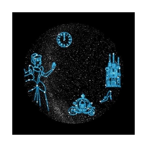 アイテム勢ぞろい ディズニーキャラクター Homestar Aqua シンデレラ ホームスターアクア