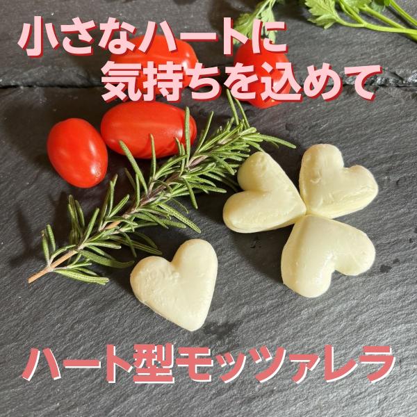 【オススメ】ハート型モッツァレラチーズ 約9g×5個