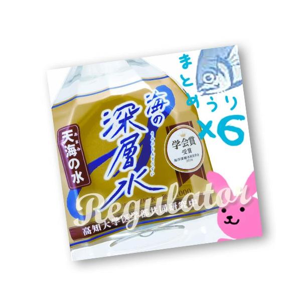 海の深層水 天海の水 (硬度1000) 2L×6本セット