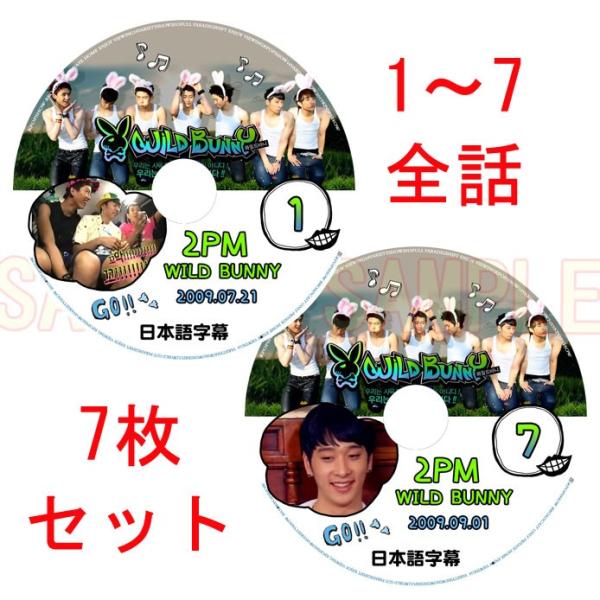韓流DVD】2PM ツーピーエム 「 WILD BUNNY 」 7枚セットend 韓流DVD】2PM ツーピーエム 「 WILD BUNNY 」 7枚セットend