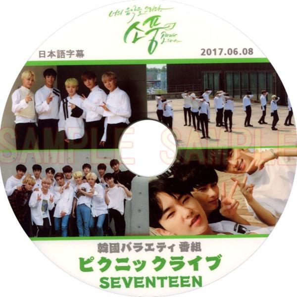 韓流dvd Seventeen ピクニック ライブ Picnic 日本語字幕 17 06 08 セブンティーン セブチ Seventeen 42 Rehobote 通販 Yahoo ショッピング