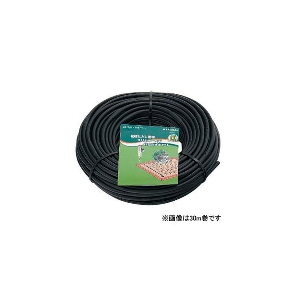 y573-55-10zJN_C hbv`[u (X) (10m) K[fjOpi (Ή 뉀 Up) KAKUDAI