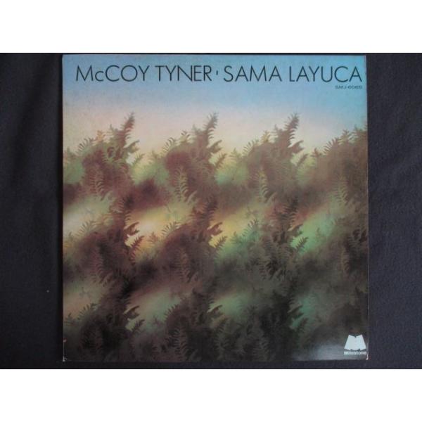 ■商品状態ジャケット：一部にヘコミ、シミ有ライナーノーツにシミ、色褪せ有盤面：良好（目立つキズ等無し）