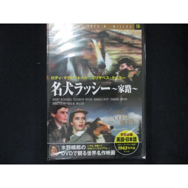 0114★未開封DVD 名犬ラツシー　家路 ※ワケ有