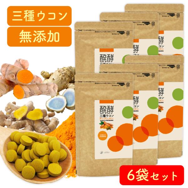 ウコン サプリ 錠剤 発酵ウコン 醗酵三種ウコン 6袋セット(6ヶ月分) 無