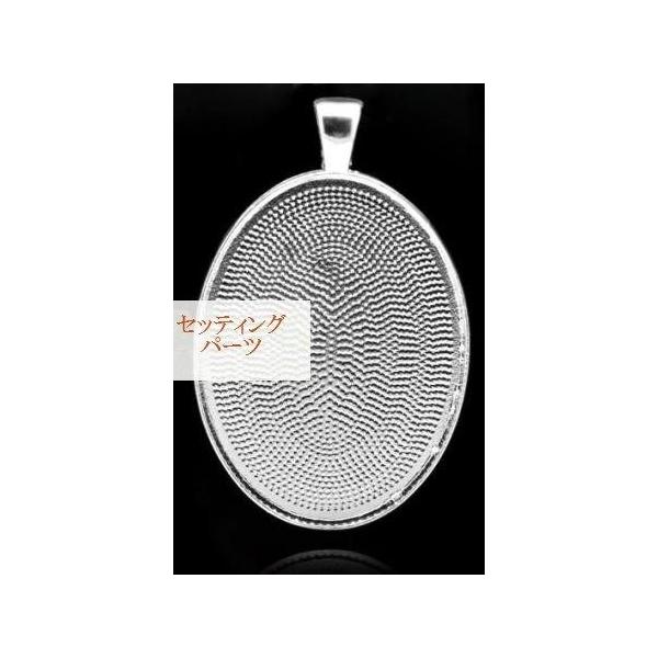 TT-1~[Mp[cZbeBOiVo[J[jANZT[p[c^gJIx[X50mm×32mm