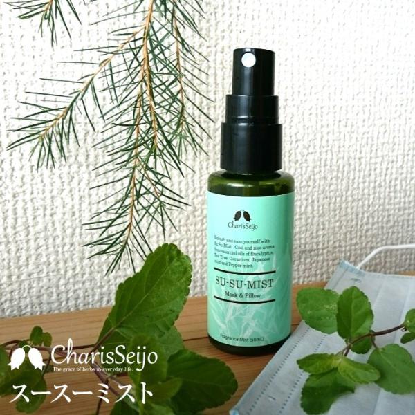 花粉症対策グッズ スースーミスト 50ml カリス成城 スプレー マスク ユーカリ ペパーミント Buyee Buyee 提供一站式最全面最專業現地yahoo Japan拍賣代bid代拍代購服務 Bot Online