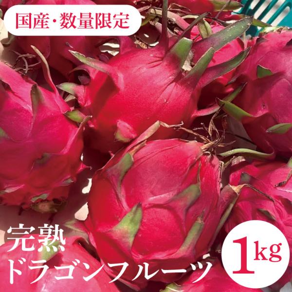 国産 完熟ドラゴンフルーツ 赤果肉 1kg（2〜3玉）【完熟の美味しさはここが違う】富岡マルイ農園では樹の上で熟すまで待ち、完熟状態で収穫。だから、果肉はジューシーで香り高い贅沢な味わいです。インパクトの強い見た目ですが、味は優しい甘さです...