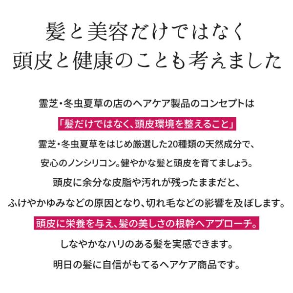 シャンプー トリートメント お試しセット 霊芝 冬虫夏草 1回分 ノンシリコンシャンプー Buyee Buyee Japanese Proxy Service Buy From Japan Bot Online