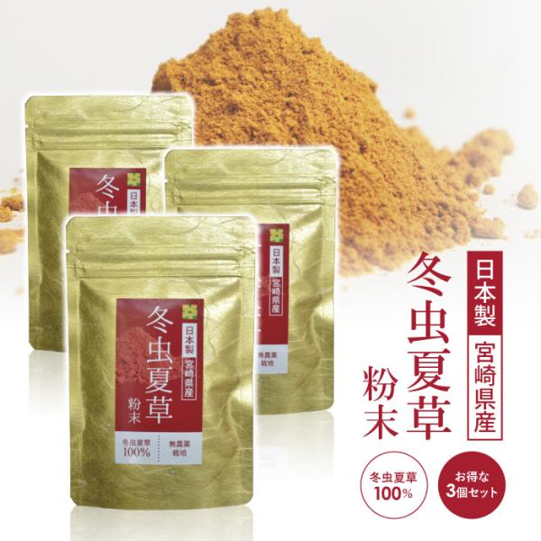 【原材料】 冬虫夏草末　※添加物は一切入っていません。【内容量】  1袋に付き30ｇ　※3個セットでお届けします【保存方法】 直射日光・高温多湿な場所を避けて、 お子様の手の届かない場所に保存して下さい。【生産国】 日本 (宮崎県産)◆ こ...